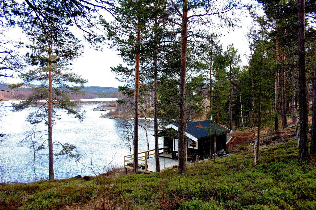 Birk Bed & Birds Panzió Svanvik Kültér fotó
